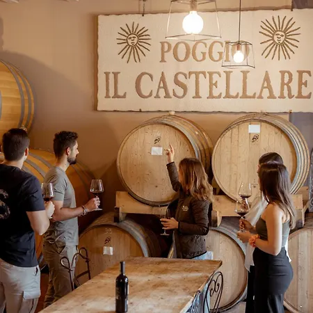 Poggio Il Castellare *